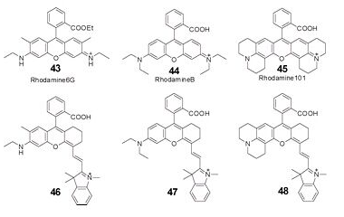 星戈瑞荧光透明质酸/肝素/多糖等修饰RB（罗丹明类）罗丹明类