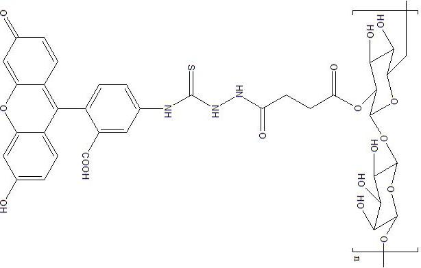 星戈瑞荧光stargraydye实验室合成荧光标记不同分子量葡聚糖