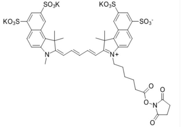 Sulfo-Cyanine5.5 NHS ester  水溶性花菁染料CY5.5标记活性脂