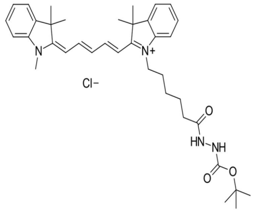 Cyanine5 hydrazide 花菁染料CY5标记酰肼 1427705-31-4