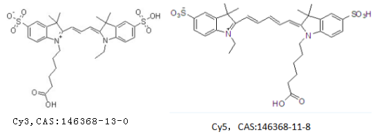 CY5.5-Glucose 荧光标记葡萄糖