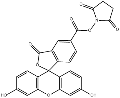 5-FAM SE 5-羧基荧光素琥珀酰亚胺酯 92557-80-7