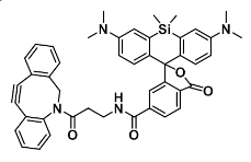 SiR-DBCO 硅基罗丹明-二苯并环辛炔 2259859-41-9