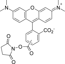 5(6)-TAMRA,SE 5(6)-羧基四甲基罗丹明活性酯 246256-50-8