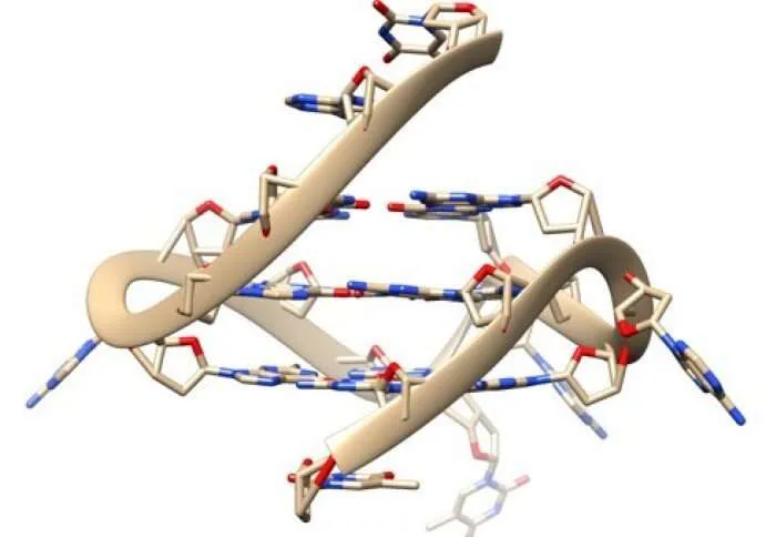荧光标记的P-DNA-5   金属有机骨架与探针DNA荧光标记