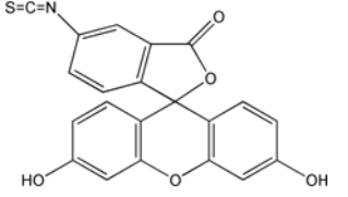 FITC  异硫氰酸荧光素  3326-32-7