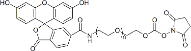 FITC-PEG-NHS  异硫氰酸荧光素-聚乙二醇-活性脂