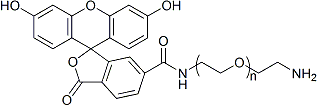 FITC-PEG-NH2 异硫氰酸荧光素-聚乙二醇-氨基