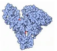 花菁染料CY3标记人血清白蛋白CY3-HSA