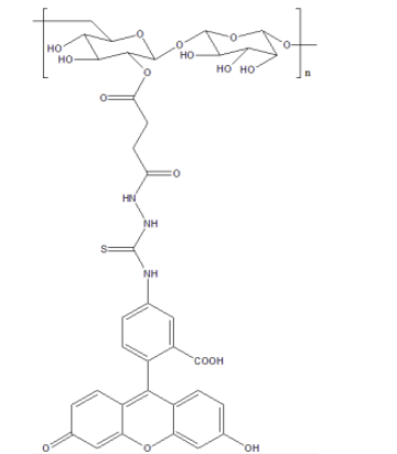 CY7-Dextran MW:70K  花菁染料CY7标记葡聚糖
