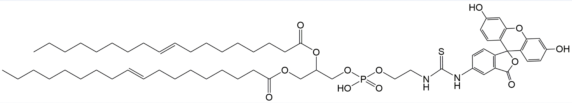 DOPE-FITC 二油酰磷脂酰乙醇胺标记荧光素