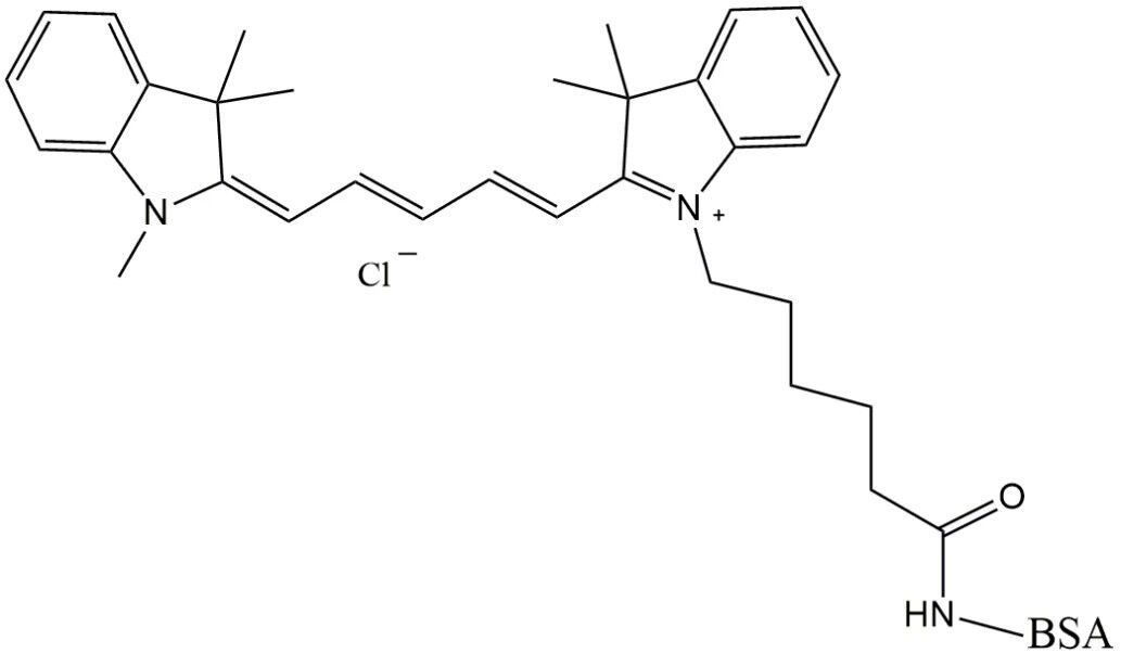 CY5-BSA 花菁染料CY5标记牛血清白蛋白