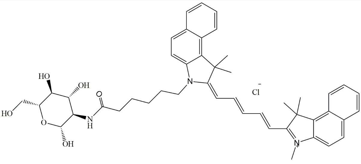 Cy5.5-Glucose CY5.5标记葡萄糖