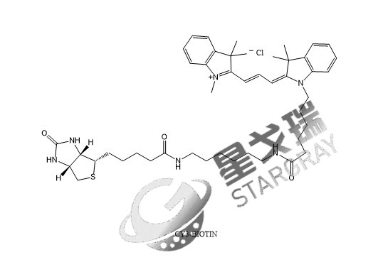 CY3-Biotin 花菁染料CY3标记生物素