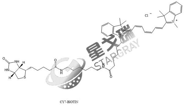 CY7-Biotin 花菁染料CY7标记生物素