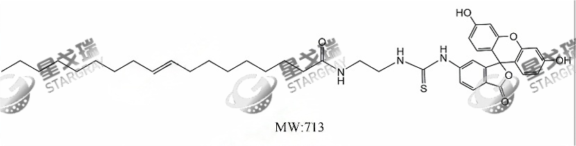 FITC-Oleic Acid 荧光素异硫氰酸酯标记油酸