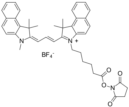 脂溶性染料Cyanine3.5-NHS荧光标记试剂