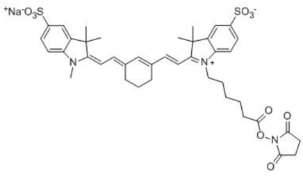 水溶性花菁染料CY7标记活性脂