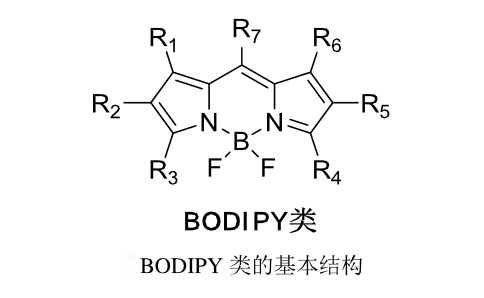羧基（COOH）氨基（NH2）等活性基团修饰BODIPY类荧光染料