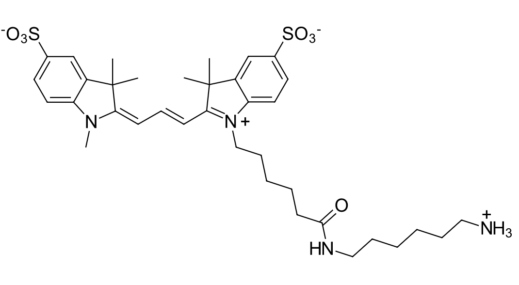 水溶性花菁染料CY3标记氨基  