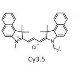 CY3.5