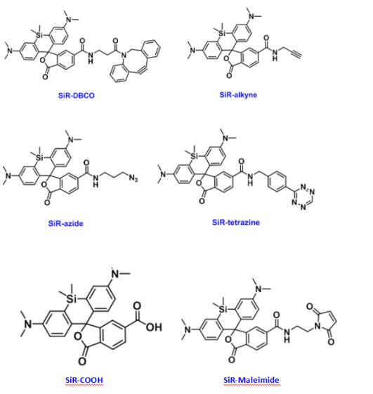 星戈瑞荧光之硅-罗丹明长波长荧光简述及不同SiR 染料结构式介绍