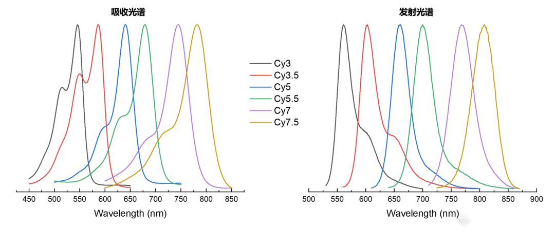 菁染料Cy (Cyanine)系列分类之脂溶性/水溶性Cy染料介绍