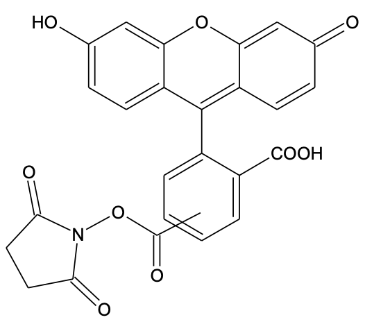  5(6)-羧基荧光素琥珀酰亚胺酯  