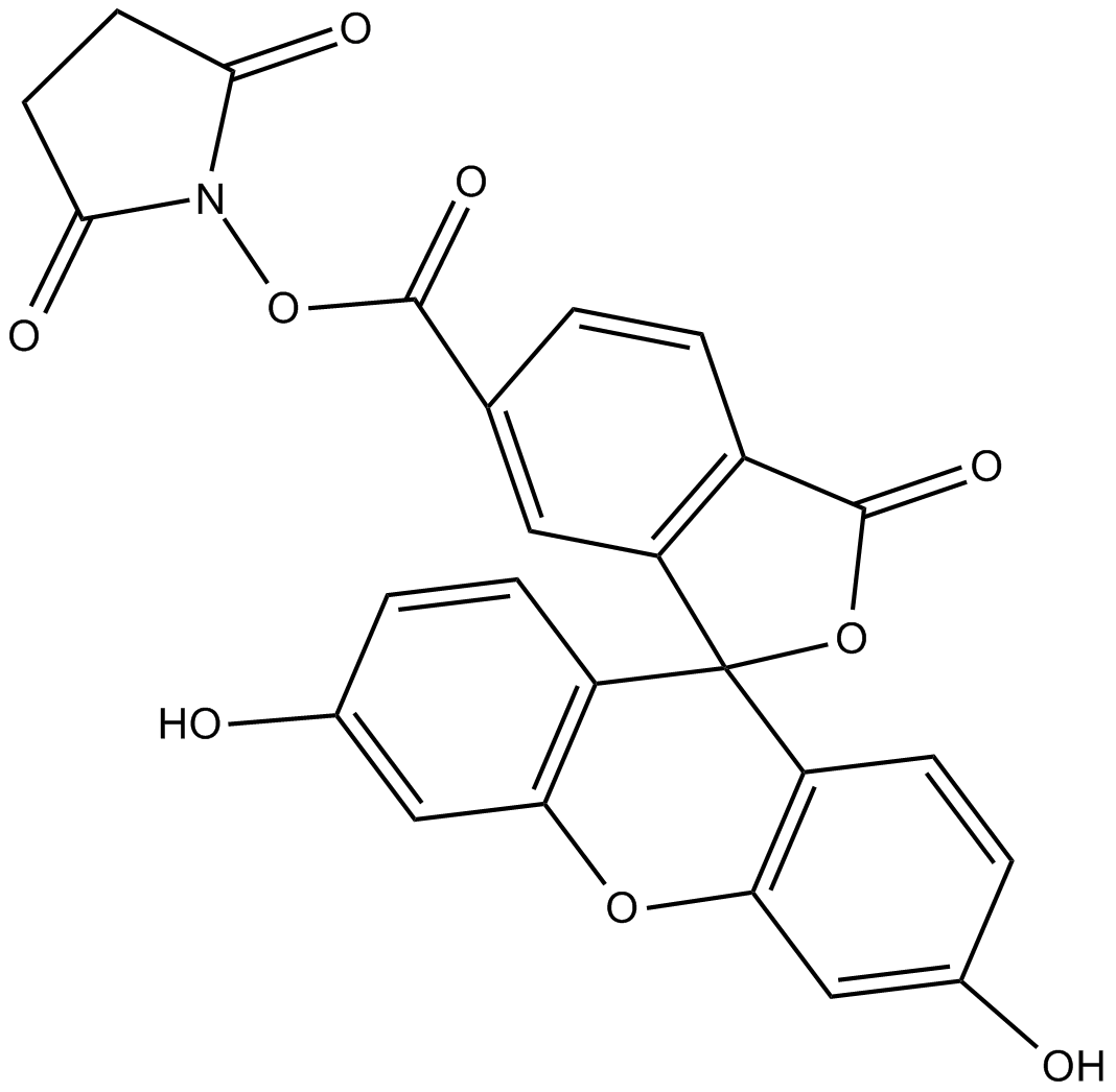 6-FAM,SE|6-羧基荧光素琥珀酰亚胺酯|92557-81-8|6-FAM NHS