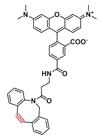 pH不敏感的桔红色荧光染料5-TAMRA-DBCO | 2071694-39-6
