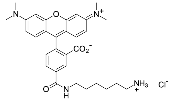 伯胺基的衍生物5-TAMRA amine 5-羧基四甲基罗丹明胺基 2158336-47-9