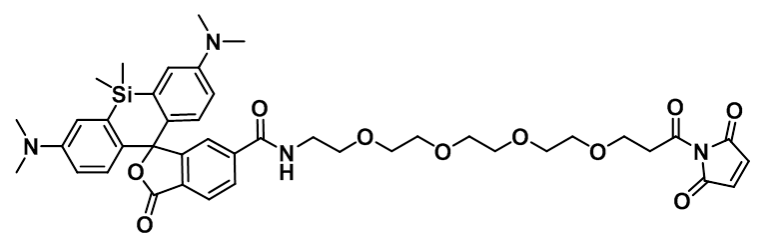 硅基罗丹明-四聚乙二醇-活化脂