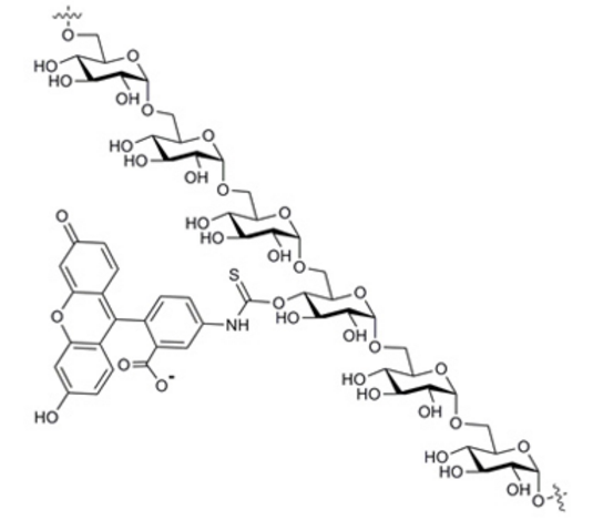 Dextran4k-FITC 分子量4千的荧光标记葡聚糖 FITC-dextran
