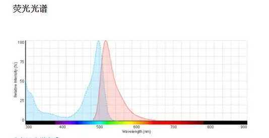 荧光蛋白 | FITC-BSA异硫氰酸荧光素标记牛血清白蛋白