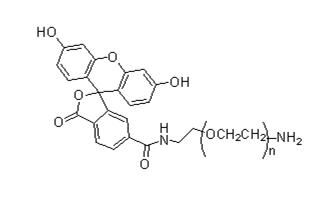 星戈瑞荧光推荐-荧光素聚乙二醇（FITC-PEG）标记活性基团