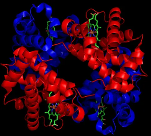 CY5-Protein G