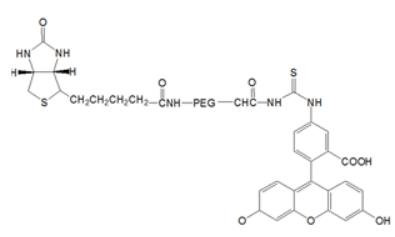 FITC-PEG-Biotin