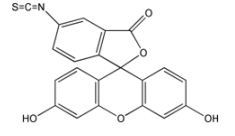 FITC-粘液蛋白的光学性质