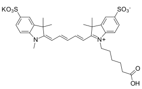 Sulfo-CY5 COOH