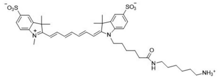 Sulfo CY7-NH2