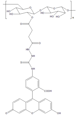 CY3-Dextran葡聚糖荧光探针-生物医学应用