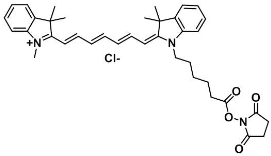 无机纳米材料与Cyanine7 NHS ester的结合