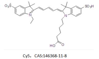 红色荧光Cyanine5标记多肽/蛋白