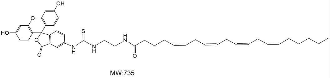 FITC-花生四烯酸