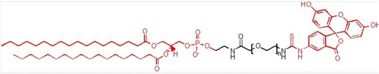 DSPE-SS-PEG2K-FITC的存储条件及溶解性