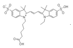 CY3-谷氨酰胺,生物分子荧光标记