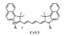 CY5.5-DBCO环炔烃点击化学试剂