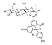 FITC-Chitosan