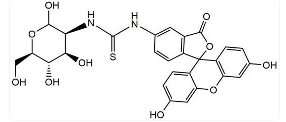 FITC-甘露糖