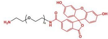 NH2-PEG2K-FITC